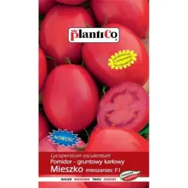 plantico-pomidor-gruntowy-mieszko-05g