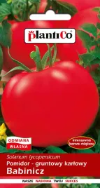 plantico-pomidor-babinicz-1g