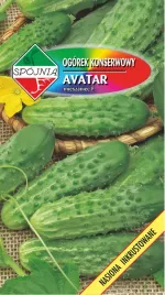 spojnia-ogorek-avatar-5g