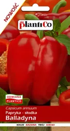 plantico-papryka-pod-oslony-balladyna-05g