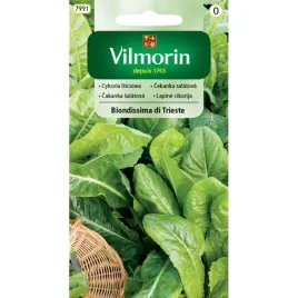 vilmorin-nasiona-cykoria-biondissima-di-trieste-3g-gc0