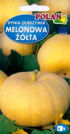 polan-dynia-olbrzymia-melonowa-zolta-5g