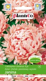 plantico-aster-chinski-peoniowy-janina-1g