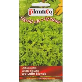plantico-salata-lisciasta-lollo-bionda-0-5g