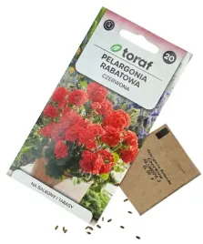 pelargonia-rabatowa-czerwona-f2-nasiona-005g-toraf