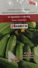 plantico-ogorek-konserwowy-cezar-miesz-otocz-50nas