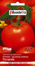 plantico-pomidor-gruntowy-poranek-1g