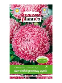 plantico-aster-ch-peoniowy-rozowy-1g