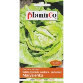 plantico-salata-marysienka-12g