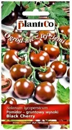 plantico-pomidor-black-cherry-02g