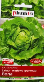 plantico-salata-maslowa-bona-1g