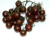 plantico-pomidor-black-cherry-02g-rodzaj-rosliny-pomidory