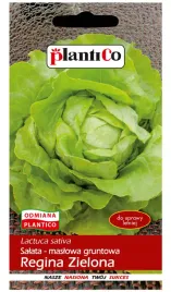 plantico-salata-maslowa-regina-zielona-1g