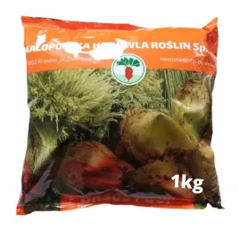 burak-pastewny-zolty-ursus-poly-nasiona-1kg-swieze-nasiona-01-2026