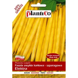 plantico-fasola-elektra-48g-szparagowa-karlowa-zolta-plenna-najwczesniejsza