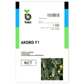 bejo-ogorek-akord-f1-1000n-bardzo-wczesny-nasiona-holenderskie-konser-kisze