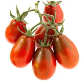 pomidory-sandybelle-koktajlowe-doniczkowe-bardzo-slodkie-nasiona-pomidorkow