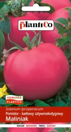 pomidor-maliniak-nasiona-05-g-plantico-do-uprawy-w-ogrodzie-i-tunelu