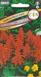 cn-szalwia-blyszczaca-czerwona-nasiona-02g-ozdobna-odmiana-do-rabat-donic