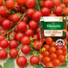 vilmorin-pomidor-balkonowy-venus-cherry-nasiona-03g-karlowa-odmiana-donic