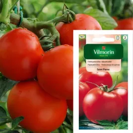 vilmorin-pomidor-saint-pierre-nasiona-1g-tradycyjna-smaczna-odmiana-gruntow
