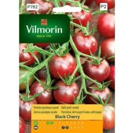 vilmorin-pomidor-black-cherry-02g-czerwono-brazowe-owoce-aromatyczna-odmi