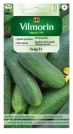 vilmorin-ogorek-twigi-f1-3g-owoce-do-kiszenia-odporna-odmiana-gruntowa