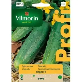 vilmorin-ogorek-regal-f1-15szt-wczesna-plenna-odmiana-do-kiszenia-i-konserw