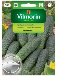 vilmorin-ogorek-alhambra-f1-tasma-5m-partenokarpiczny-wczesny-bez-goryczki