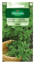 vilmorin-seler-lisciowy-jemny-05g-aromatyczne-ogonki-do-salatek