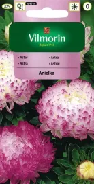 vilmorin-aster-anielka-05g-peoniowy-wysoki-kwiat-ciety-obficie-kwitne