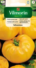 vilmorin-pomidor-yellowstone-02g-zolty-slodki-miesisty-odporny-wysoki-plon