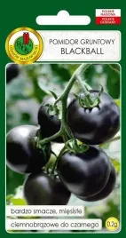 pomidor-koktajlowy-czarny-blackball-smaczny-nasiona-pomidorkow-koktajlowych