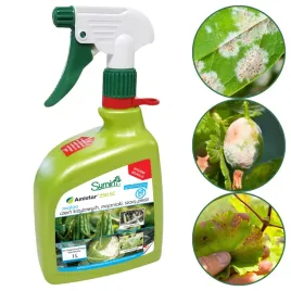 amistar-250-sc-1l-na-choroby-grzybowe-w-trawniku-ochrona-roslin-maczniak