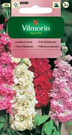 vilmorin-lewkonia-drezdenska-letnia-mix-05g-nasiona-piekny-dorodna