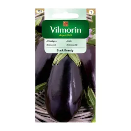 vilmorin-oberzyna-black-beauty-2g-nasiona-baklazan-do-100cm-duze-owoce
