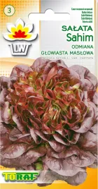 salata-czerwona-sahim-maslowa-glowiasta-purpurowe-glowki