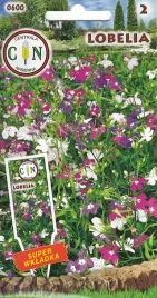 lobelia-mix-kolorow-lobelie-piekny-dywan-kwiatowy-z-lobelii