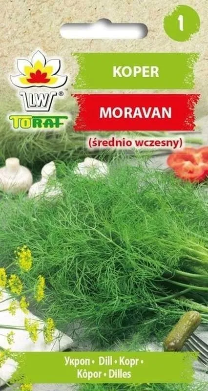 nasiona-koper-moravan-5-g