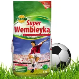 nasiona-traw-super-wembleyka-na-tereny-uzytkowe-5kg-trawniki-domowe-odporna