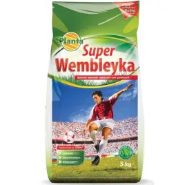 super-wembleyka-trawa-sportowa-do-ogrodu-dekoracyjna-nasiona-5kg-wyrzymala