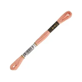 mulina-anchor-stranded-nici-do-haftu-wyszywania-1szt-8m-kol-00868-868