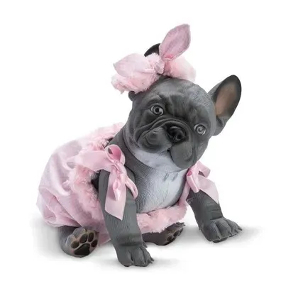 piesek-lily-buldog-francuski-32cm-asi