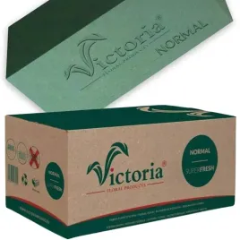 20x-gabka-florystyczna-mokra-pianka-cegla-kwiaty-zywe-victoria-karton-20szt