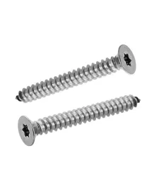 blachowkret-z-lbem-stozkowym-6-3x60-na-torx-a2-iso14586c-100x