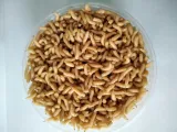 robak-pinka-biala-200ml-robaki-marka-bez-marki