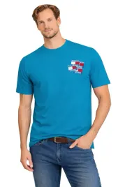 t-shirt-koszulka-meska-3003-niebieski-bawelniana-wygodna-niebieska-modna