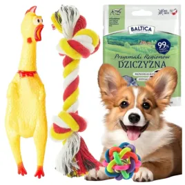 przysmaki-dla-psa-smaczki-baltica-zabawka-pilka-szarpak-kurczak-piszczacy