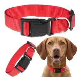 obroza-dla-duzego-psa-klasyczna-na-klamre-sredni-duzy-pies-30-50-cm-l