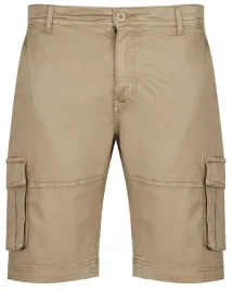 u-s-polo-assn-meskie-szorty-bojowki-sear-143-66361-53065-420-spodenki